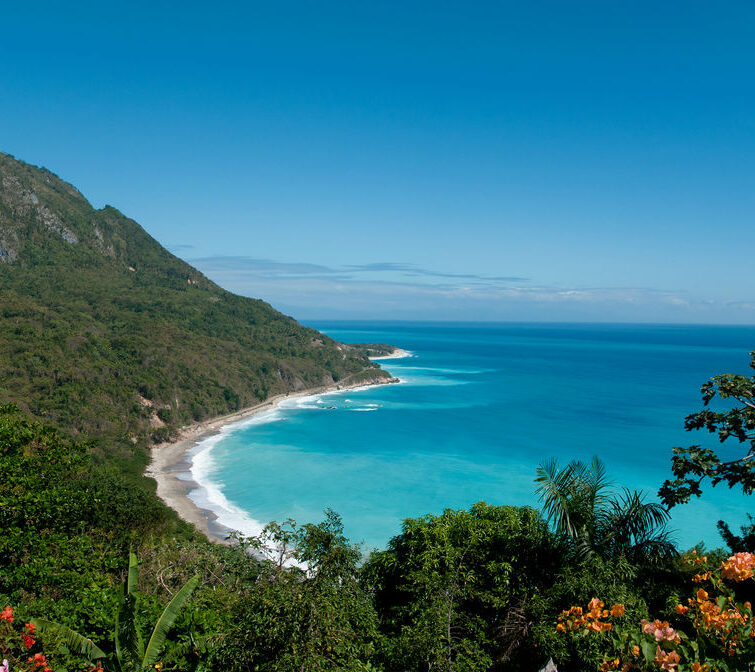 ドミニカ バラオナ AA ポロ地区 N - 画像 (2)