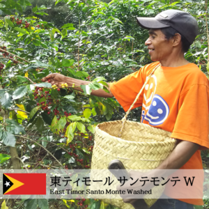東ティモール  サンテモンテ W