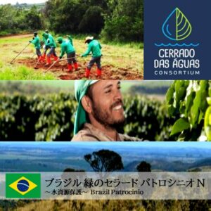 ブラジル 緑のセラード パトロシニオ N ~水資源保護~ S07401